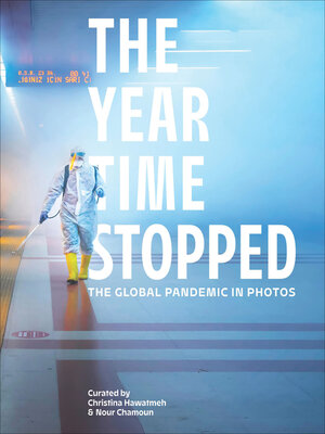 cover image of The Year Time Stopped